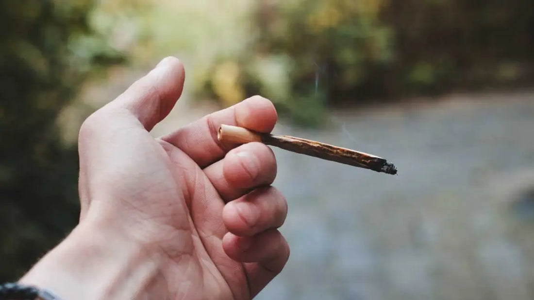 Would It Kill You to Smoke Some Weed? Discover the Benefits