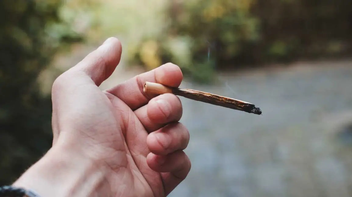 Would It Kill You to Smoke Some Weed?