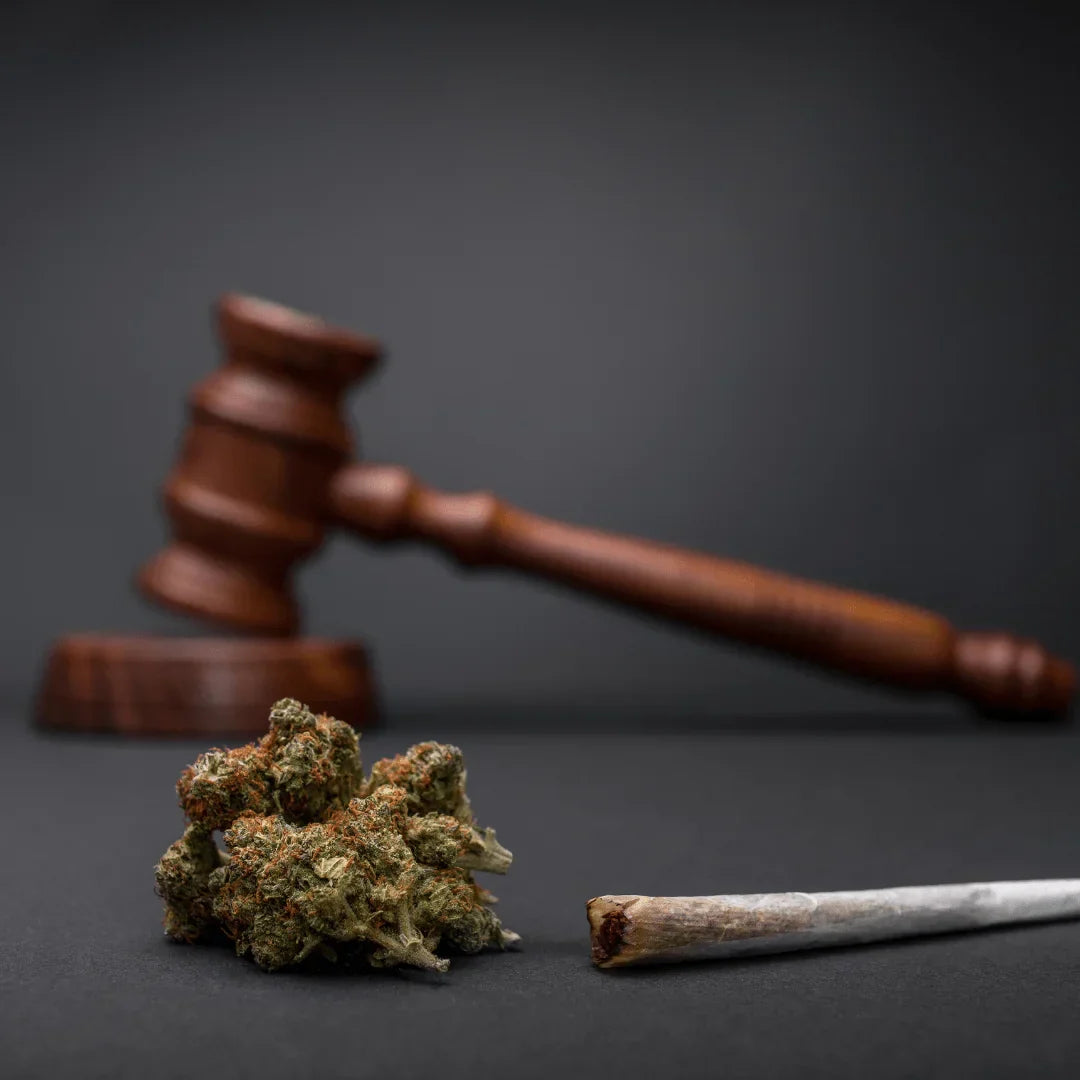 DEA’s Decision to Reclassify Marijuana: A Step Towards Rational Drug Policy