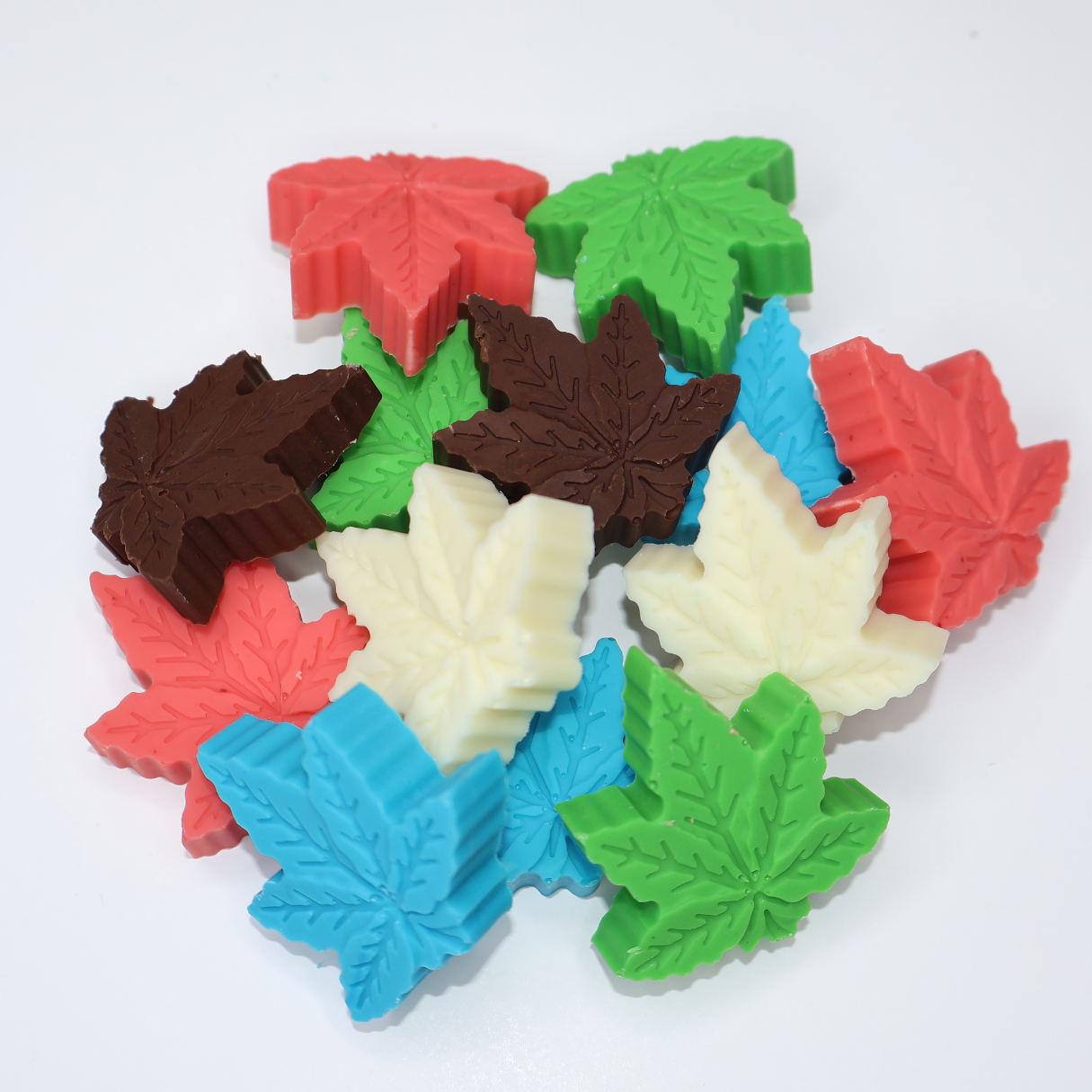 canna leaf chocolate designs